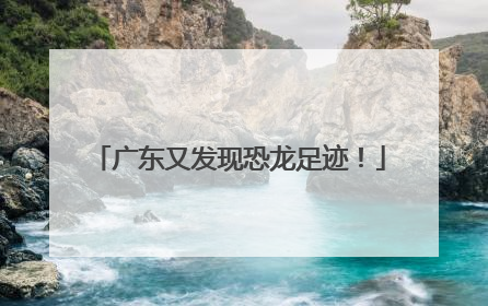 广东又发现恐龙足迹！
