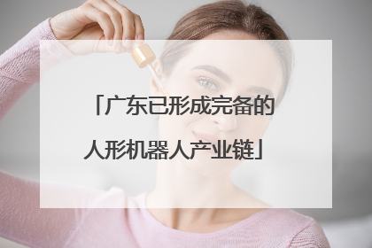 广东已形成完备的人形机器人产业链