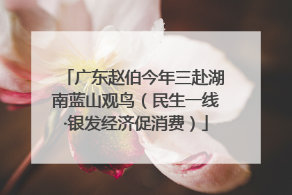 广东赵伯今年三赴湖南蓝山观鸟（民生一线·银发经济促消费）