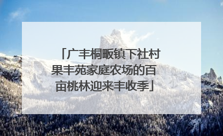 广丰桐畈镇下社村果丰苑家庭农场的百亩桃林迎来丰收季