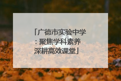 广德市实验中学：聚焦学科素养 深耕高效课堂