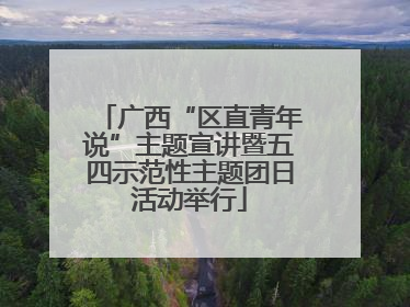 广西“区直青年说”主题宣讲暨五四示范性主题团日活动举行
