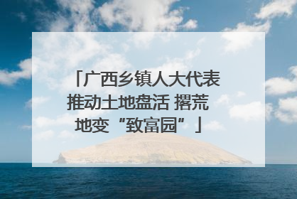 广西乡镇人大代表推动土地盘活 撂荒地变“致富园”