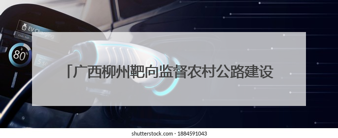 广西柳州靶向监督农村公路建设 推动“问题路”变“幸福路”