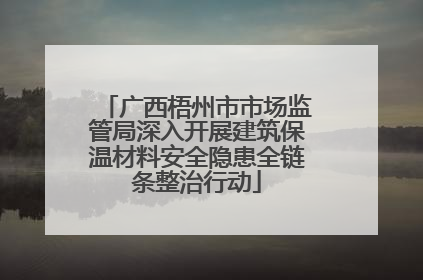 广西梧州市市场监管局深入开展建筑保温材料安全隐患全链条整治行动