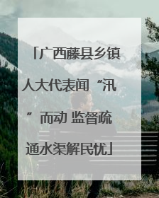 广西藤县乡镇人大代表闻“汛”而动 监督疏通水渠解民忧