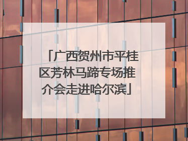 广西贺州市平桂区芳林马蹄专场推介会走进哈尔滨