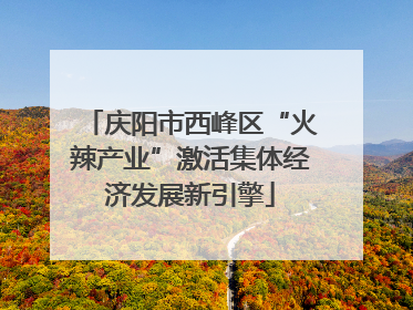 庆阳市西峰区“火辣产业”激活集体经济发展新引擎