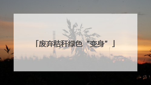 废弃秸秆绿色“变身”
