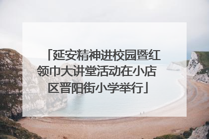 延安精神进校园暨红领巾大讲堂活动在小店区晋阳街小学举行