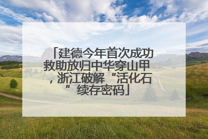 建德今年首次成功救助放归中华穿山甲，浙江破解“活化石”续存密码