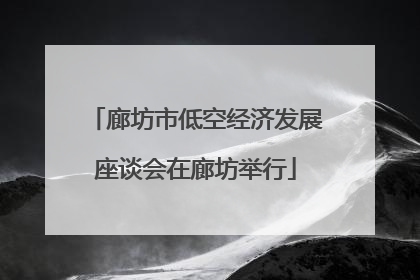 廊坊市低空经济发展座谈会在廊坊举行
