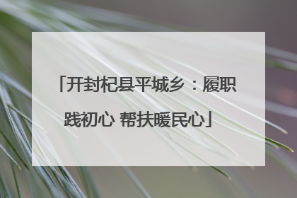 开封杞县平城乡：履职践初心 帮扶暖民心