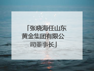 张晓海任山东黄金集团有限公司董事长