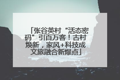 张谷英村“活态密码”引百万客！古村焕新，家风+科技成文旅融合新爆点