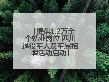 提供1.2万余个就业岗位 四川退役军人及军属招聘活动启动