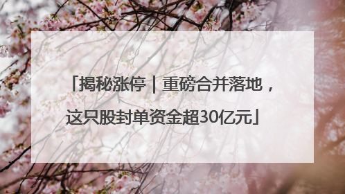 揭秘涨停｜重磅合并落地，这只股封单资金超30亿元