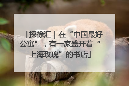 探徐汇｜在“中国最好公寓”，有一家盛开着“上海玫瑰”的书店