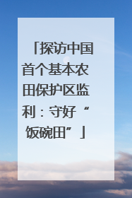 探访中国首个基本农田保护区监利：守好“饭碗田”