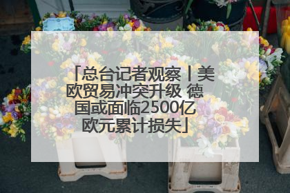 总台记者观察丨美欧贸易冲突升级 德国或面临2500亿欧元累计损失