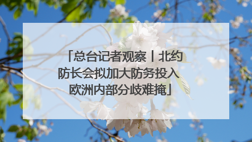 总台记者观察丨北约防长会拟加大防务投入 欧洲内部分歧难掩