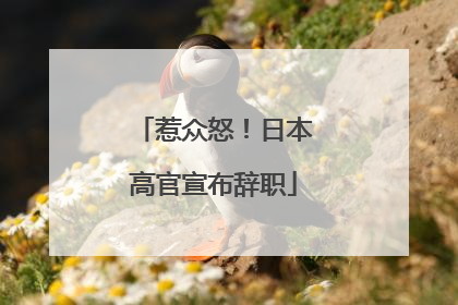 惹众怒！日本高官宣布辞职