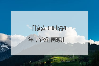惊喜！时隔4年，它们再现