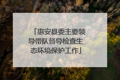 惠安县委主要领导带队督导检查生态环境保护工作