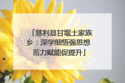 慈利县甘堰土家族乡：深学细悟强思想 蓄力赋能促提升