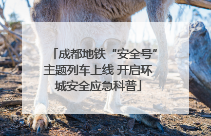 成都地铁“安全号”主题列车上线 开启环城安全应急科普