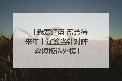我爱辽篮 蓄芳待来年丨辽篮当针对阵容短板选外援