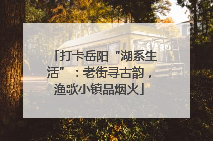 打卡岳阳“湖系生活”：老街寻古韵，渔歌小镇品烟火