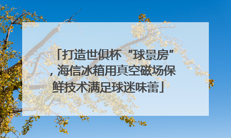 打造世俱杯“球景房”，海信冰箱用真空磁场保鲜技术满足球迷味蕾