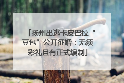 扬州出逃卡皮巴拉“豆包”公开征婚：无须彩礼且有正式编制
