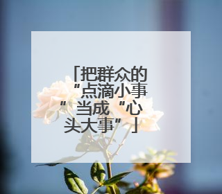 把群众的“点滴小事”当成“心头大事”