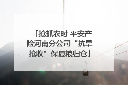 抢抓农时 平安产险河南分公司“抗旱抢收”保夏粮归仓