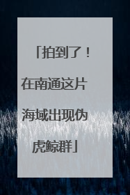 拍到了！在南通这片海域出现伪虎鲸群