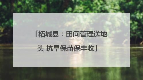 柘城县：田间管理送地头 抗旱保苗保丰收
