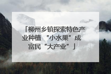 柳州乡镇探索特色产业种植 “小水果”成富民“大产业”