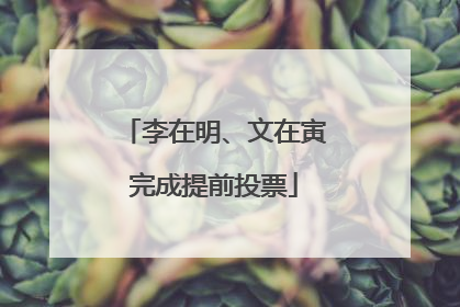 李在明、文在寅完成提前投票