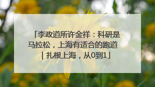 李政道所许金祥：科研是马拉松，上海有适合的跑道｜扎根上海，从0到1