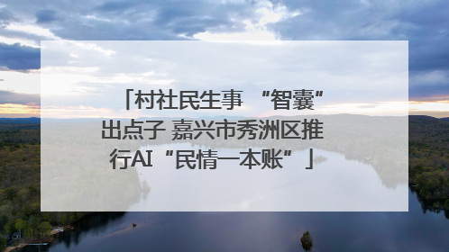 村社民生事 “智囊”出点子 嘉兴市秀洲区推行AI“民情一本账”