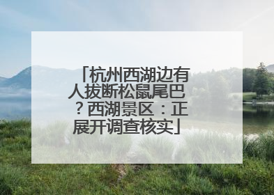 杭州西湖边有人拔断松鼠尾巴？西湖景区：正展开调查核实