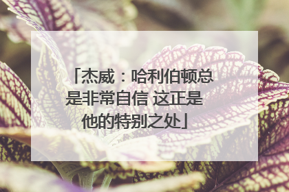 杰威：哈利伯顿总是非常自信 这正是他的特别之处