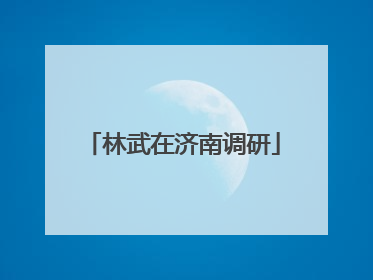 林武在济南调研