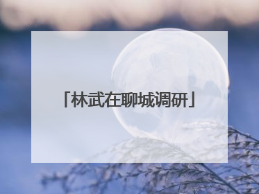 林武在聊城调研
