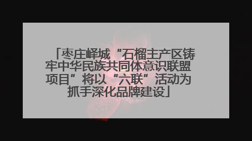 枣庄峄城“石榴主产区铸牢中华民族共同体意识联盟项目”将以“六联”活动为抓手深化品牌建设