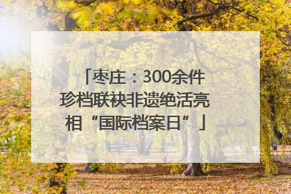 枣庄：300余件珍档联袂非遗绝活亮相“国际档案日”
