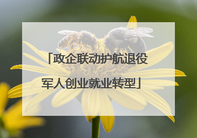 政企联动护航退役军人创业就业转型