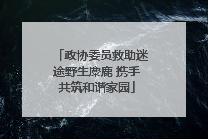 政协委员救助迷途野生麋鹿 携手共筑和谐家园